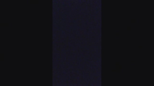 brian242016  04-06-2022